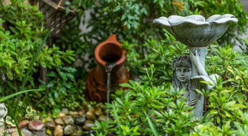 惊艳时光 庭院锦鲤鱼池设计与园林绿化施工全解析