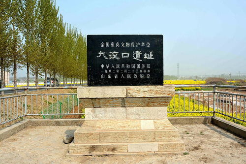 文字的萌芽 从刻画符号陶尊看远古文明密码与遗址保护