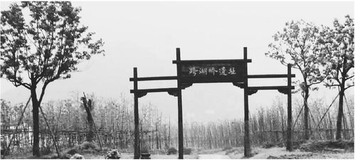 跨湖桥的前世今生——云课堂萧萧讲地名与遗址保护